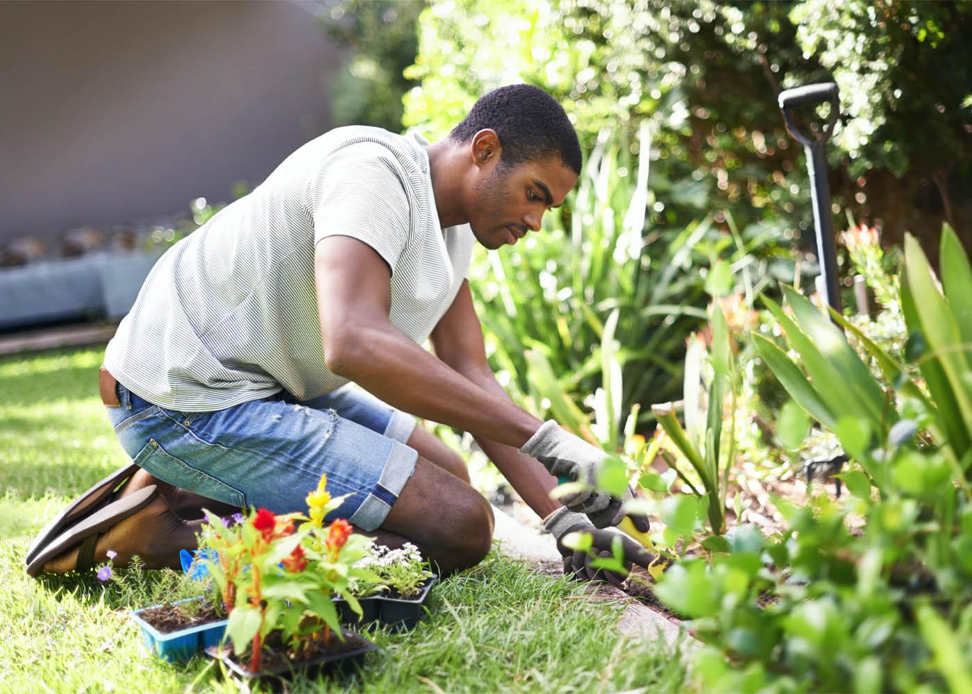 Gardeners in Camberwell